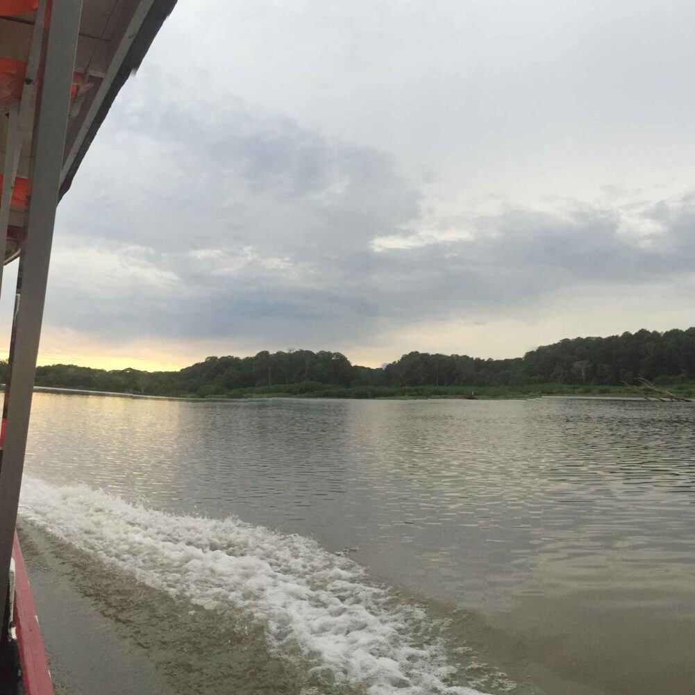 Rio TARCOLES